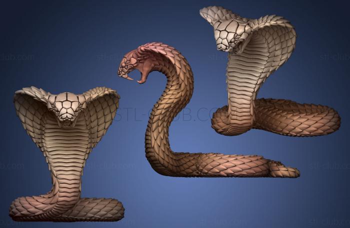 3D model Snake cobra (STL)